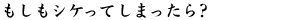 もしもシケってしまったら?