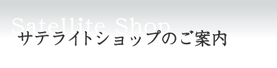 �T�e���C�g�V���b�v�̂��ē�